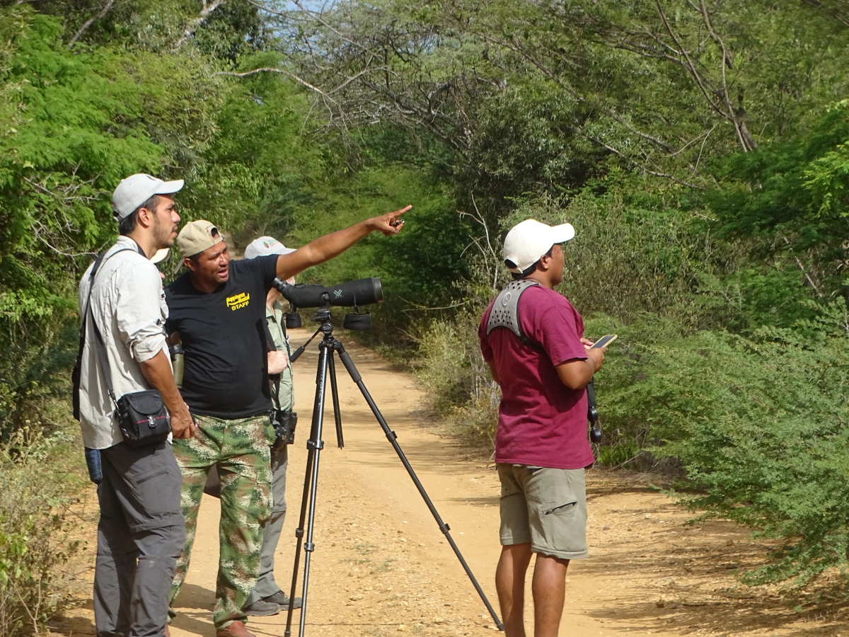 A conversation about Guajira Birding Travel with Chris Bell